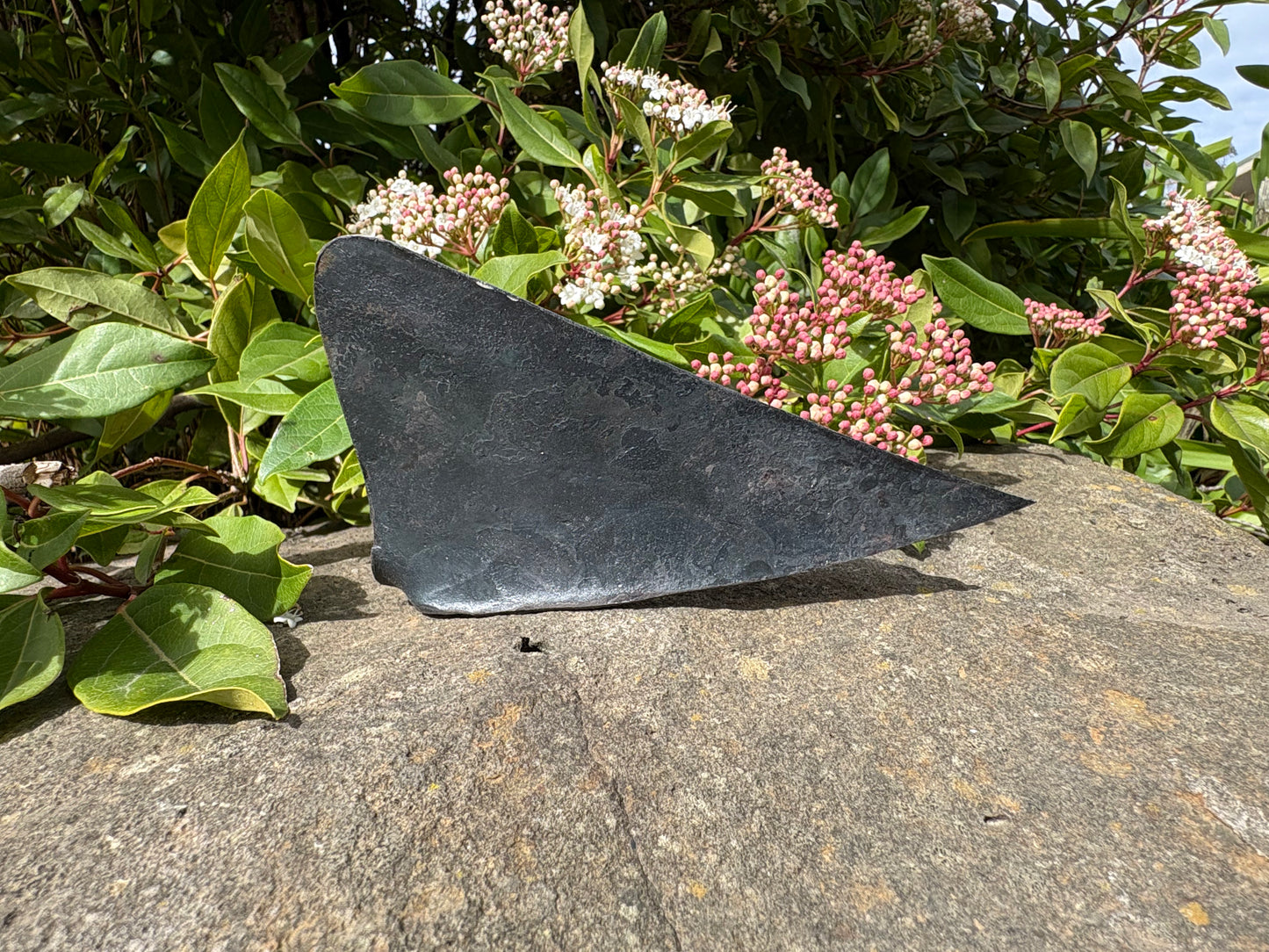 Garden Homi – A Real Workhorse in the Garden