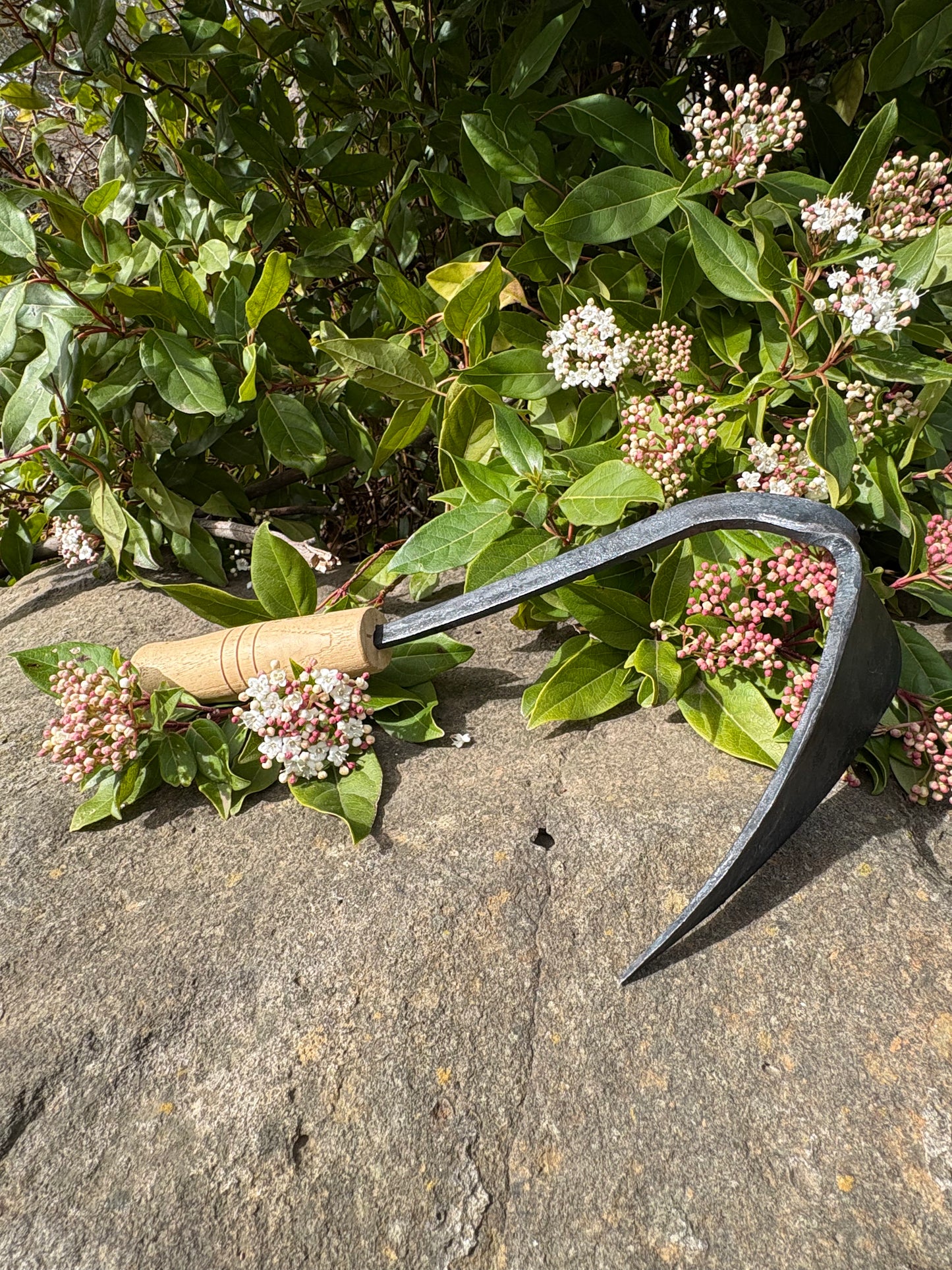 Garden Homi – A Real Workhorse in the Garden