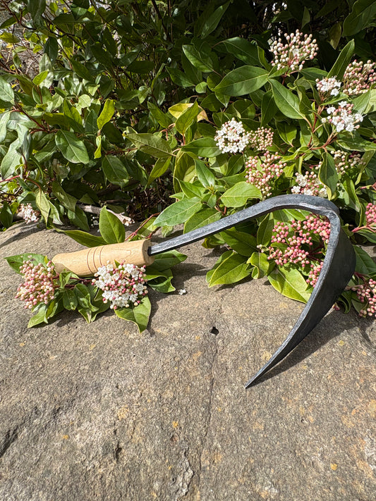 Garden Homi – A Real Workhorse in the Garden